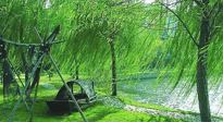 【養(yǎng)生知識】元宵入六九，春季已至，六九天的養(yǎng)生知識你知道多少？