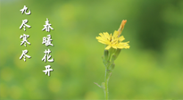 【九九養(yǎng)生】三月四日“九九日”，寒冬已過(guò)。春天養(yǎng)好身，全年不怕??！